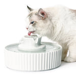 Ceramic Pet Drinking Fountain — Puppy & Cat Water Dispenser With Filters