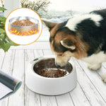 Winter Smart Heated Pet Feeder — Dog & Cat Food Water Heating Bowl