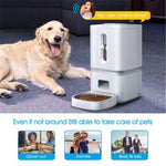 7L Automatic Pet Feeder with Programmable Timer for Dogs & Cats — White