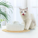 Ceramic Pet Drinking Fountain — Puppy & Cat Water Dispenser With Filters