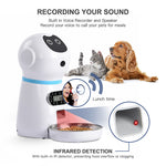 3.5L Smart Automatic Infrared Sensor Pet Feeder for Cats & Dogs