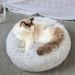Plush Warmth Fleece Dog Bed — Soft & Cozy Pet Sleeping Mat