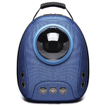 Breathable Transparent Airline-Approved Backpack Pet Carrier