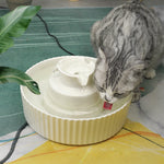 Ceramic Pet Drinking Fountain — Puppy & Cat Water Dispenser With Filters